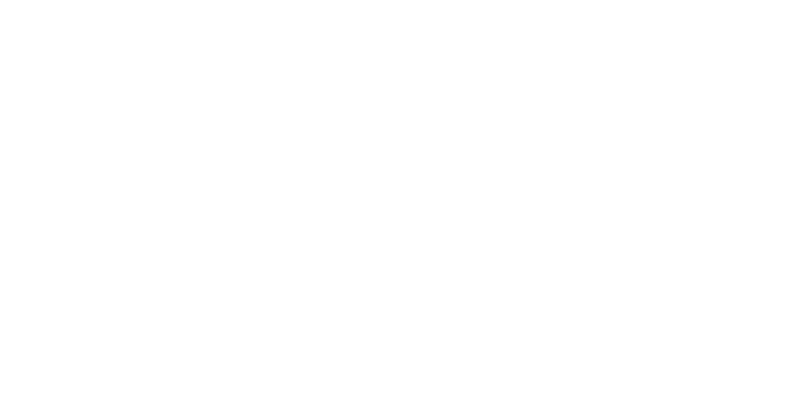 INLIGHT logo